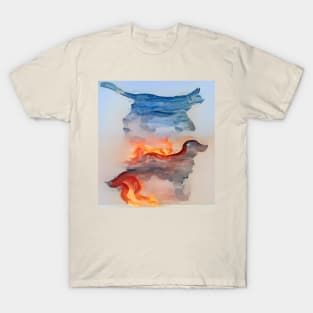 fire and water cat and dog T-Shirt